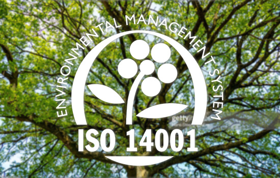 Árvore no fundo com carimbo pictográfico para a certificação ISO 14001 – Sistema de Gestão Ambiental